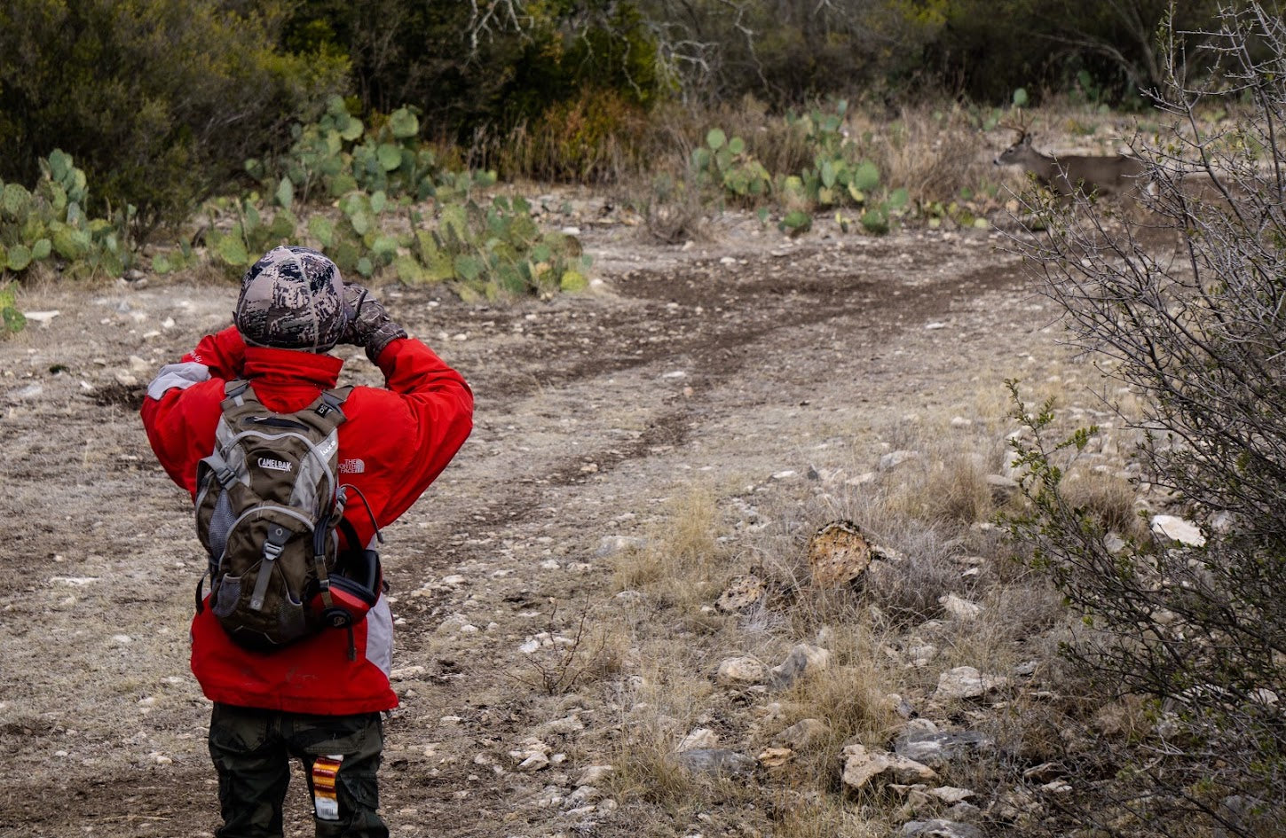 A child looking through binoculars at deer across a ranch clearing